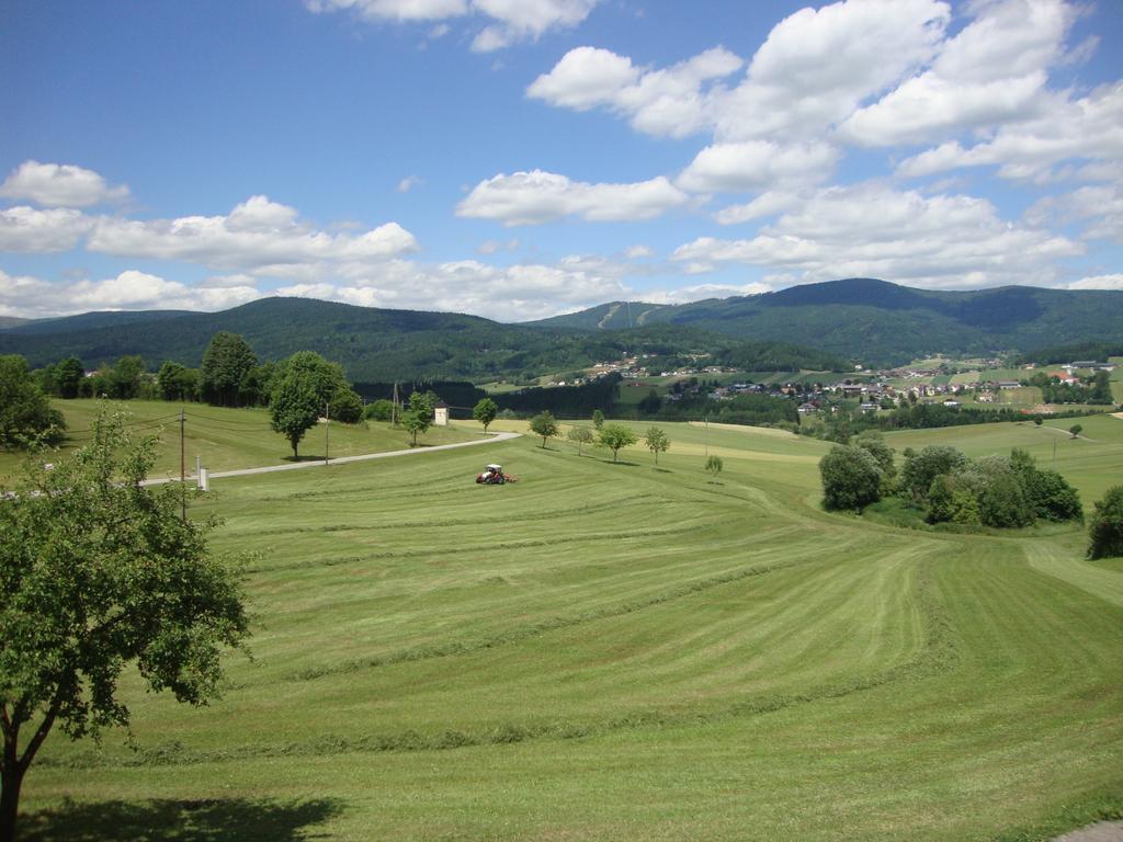Hochfichtblick Apartments Ulrichsberg Exterior foto